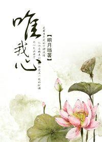 唯我心讲什么