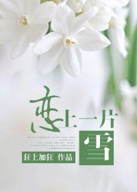 恋上一片雪晋江