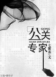 公关专家是什么意思
