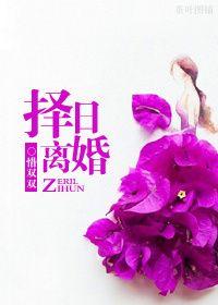 宜离婚的日子