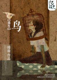 重生之鸟免费阅读