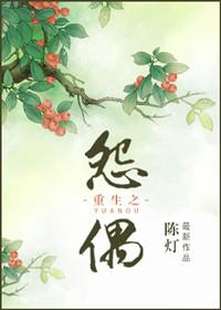 重生之怨偶佳成