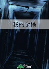 我的金桔弹唱吉他谱