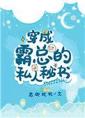穿成霸总的私人秘书 晨星暮萤