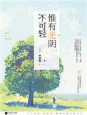 惟有光阴不可轻终极篇