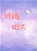 诱捕焰火 作者银八 晋江[看