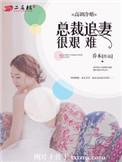 高冷总裁追妻火葬场