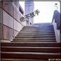 绝不放手豆瓣