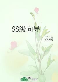c级向导