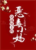 穿成男主的恶毒小妈讲了什么
