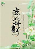 宠妃娇养日记