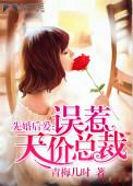 先婚后爱误嫁天价老公全文免费阅读