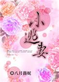 周总的掌心小逃妻