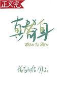 什么叫真替身