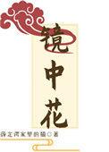 镜中花水中月可望不可及什么意思
