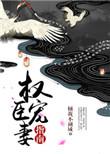 权臣宠妻手册晋江文学城