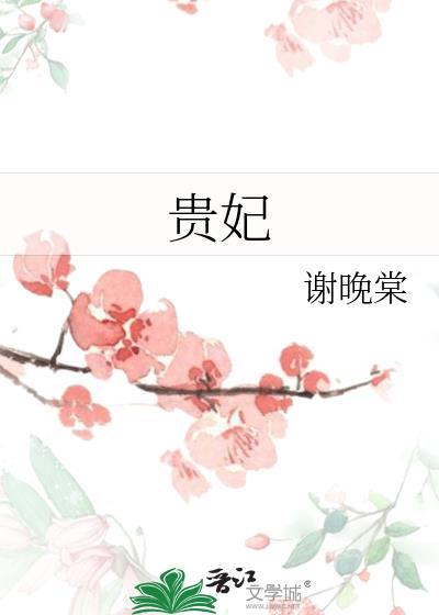 贵妃和皇贵妃有啥区别