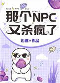那个NPC又杀疯了 边巡txt
