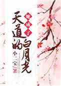 她成了天道的白月光作者小二宝