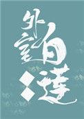外室白莲手册番外