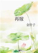 再嫁十夜灯