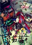 宝茹传txt