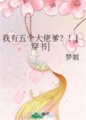 我有五个大佬爹晋江