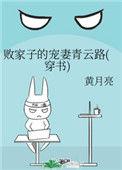 败家子的宠妻青云路(穿书)书包网