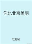 你比北京美丽简介
