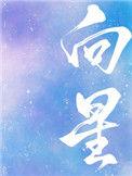 向量的乘法