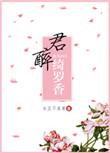 倾城小佳人无重复
