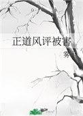 正道风评被害txt宝书