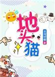 地头猫免费阅读全文无弹窗TXT