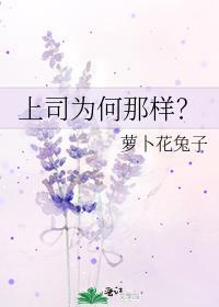 上司为什么会撩上我