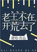 老王不在开荒去了123