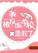 我被反派学校录取了30