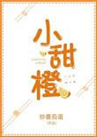 小甜橙公司