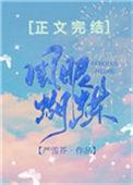 风眼蝴蝶 严雪芥讲的什么