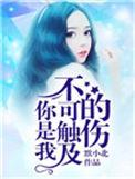 你是我不可触摸
