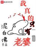 我真的只有一个老婆 贴吧