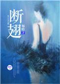 断翅by软烟罗讲的什么