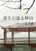 3.重生石器去种田 作者瓜不咸