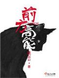 前方高能莞尔TXT