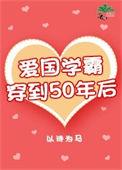 爱过学霸穿到五十年后