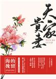 天家贵妻TXT