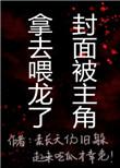 龙骑士日常训练心得番外