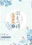 温柔像羽毛一样阅读