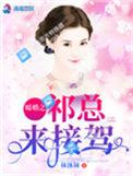 暖婚诱妻总裁免费阅读