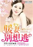 蜜爱100分