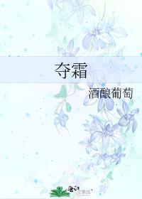 夺霜TXT百度免费阅读